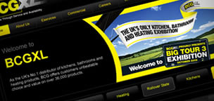 BCG Website