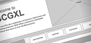 BCG Website